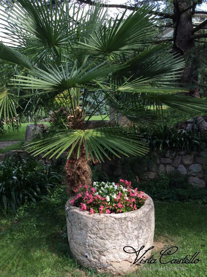 Vista Castello Bed and Breakfast Rovereto  Eksteriør billede